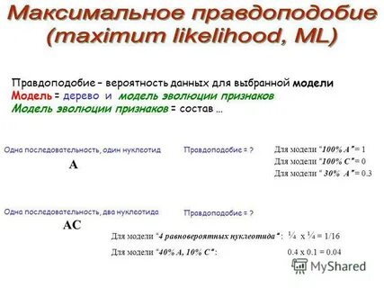 Максимальное правдоподобие