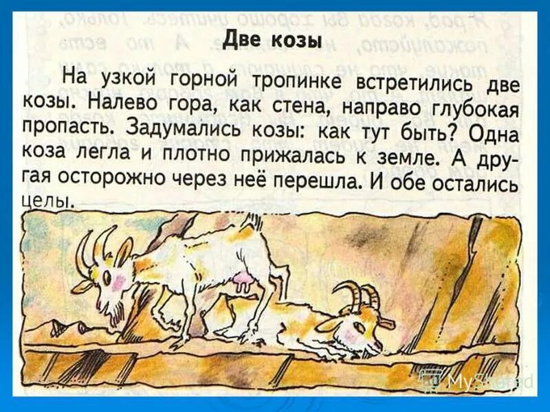 Ответ козлам