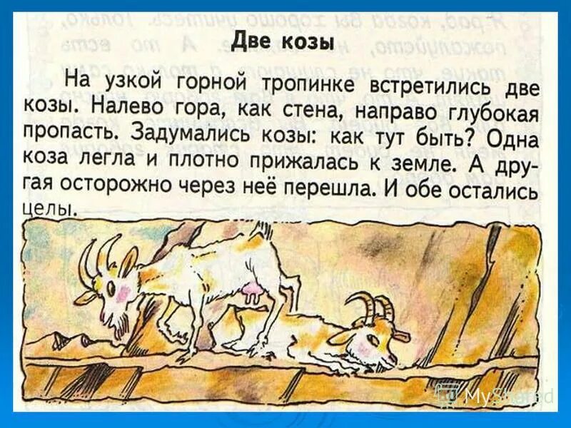 Текст про козла. Две козы рассказ. Стихотворение про козлика. Два козлика сказка. Стихи про козу и козлят.