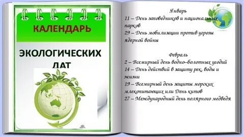Эко дата