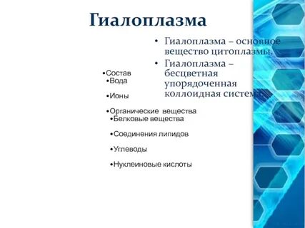 Основное вещество цитоплазмы гиалоплазма