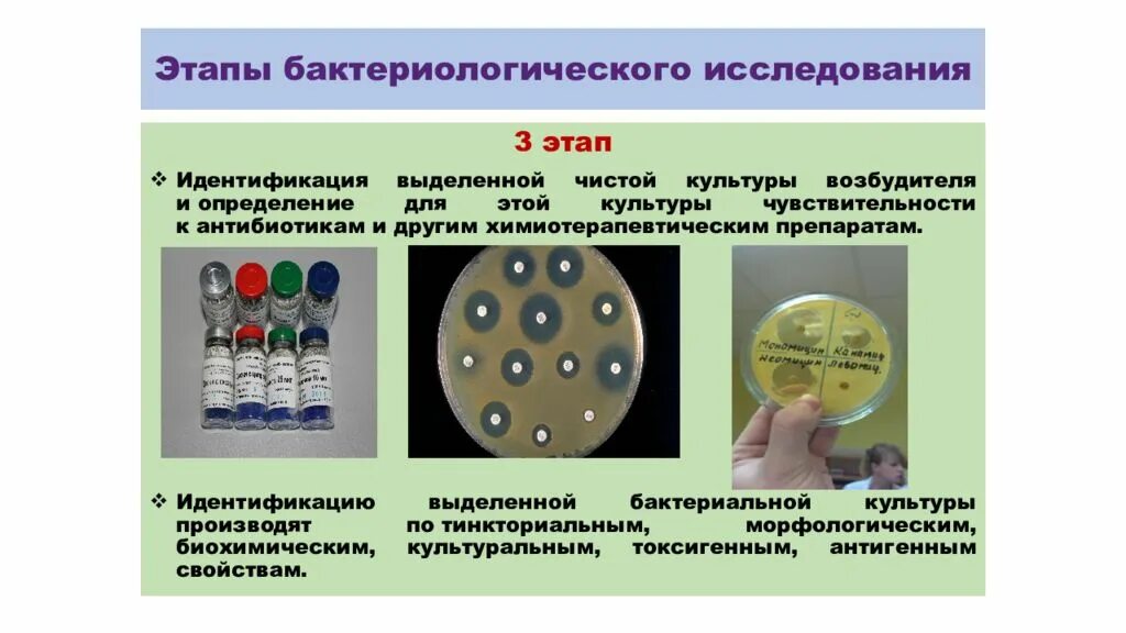 Дал маме возбудитель