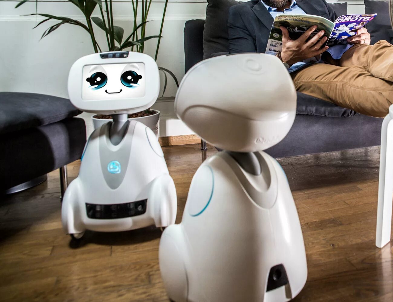 Robot assistant