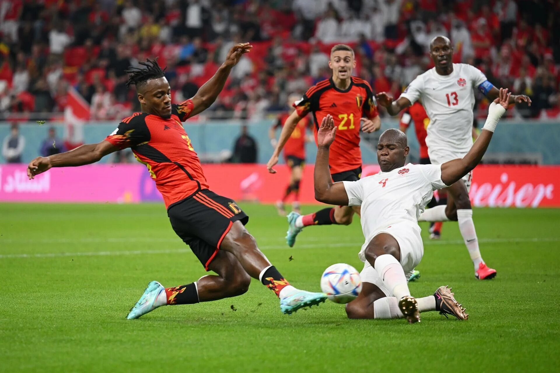 Матч бельгия марокко. 23 11 2022 бельгия канада. Бельгия канада прямая трансляция. Бельгия чм 2022. Бельгия канада 23 ноября.