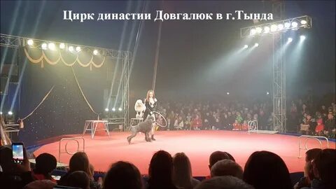 Цирк довгалюк