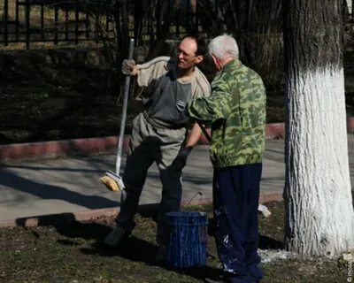Томск сторожа
