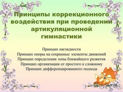 Коррекционные воздействия