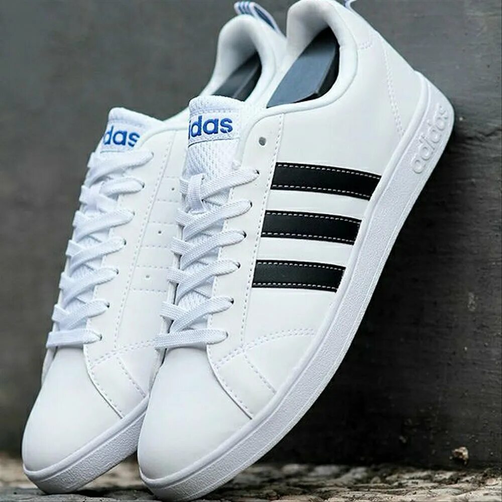 Кроссовки адидас индонезия. Adidas Neo 2015. Adidas Neo White. Adidas Indonesia. Adidas Neo белые.