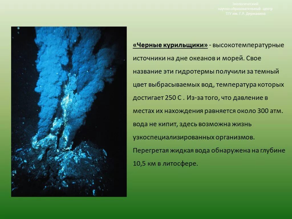 Давление на дне морей и океанов доклад. Гидротермальные источники черные курильщики. Черные курильщики». Гидротермальные источники в океане.. Черные курильщики теория зарождения жизни. Хемосинтезирующие бактерии черные курильщики.