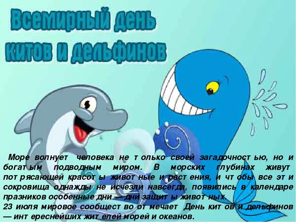 Всемирный день китов в детском саду. День защиты дельфинов. Всемирный день китов (день защиты морских млекопитающих). День дельфинов в детском саду. День дельфинов в детском саду.