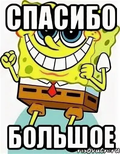 Спасибо губка боб. Спанч боб конец. Thanks bob. Thanks bob. Скванч боб.