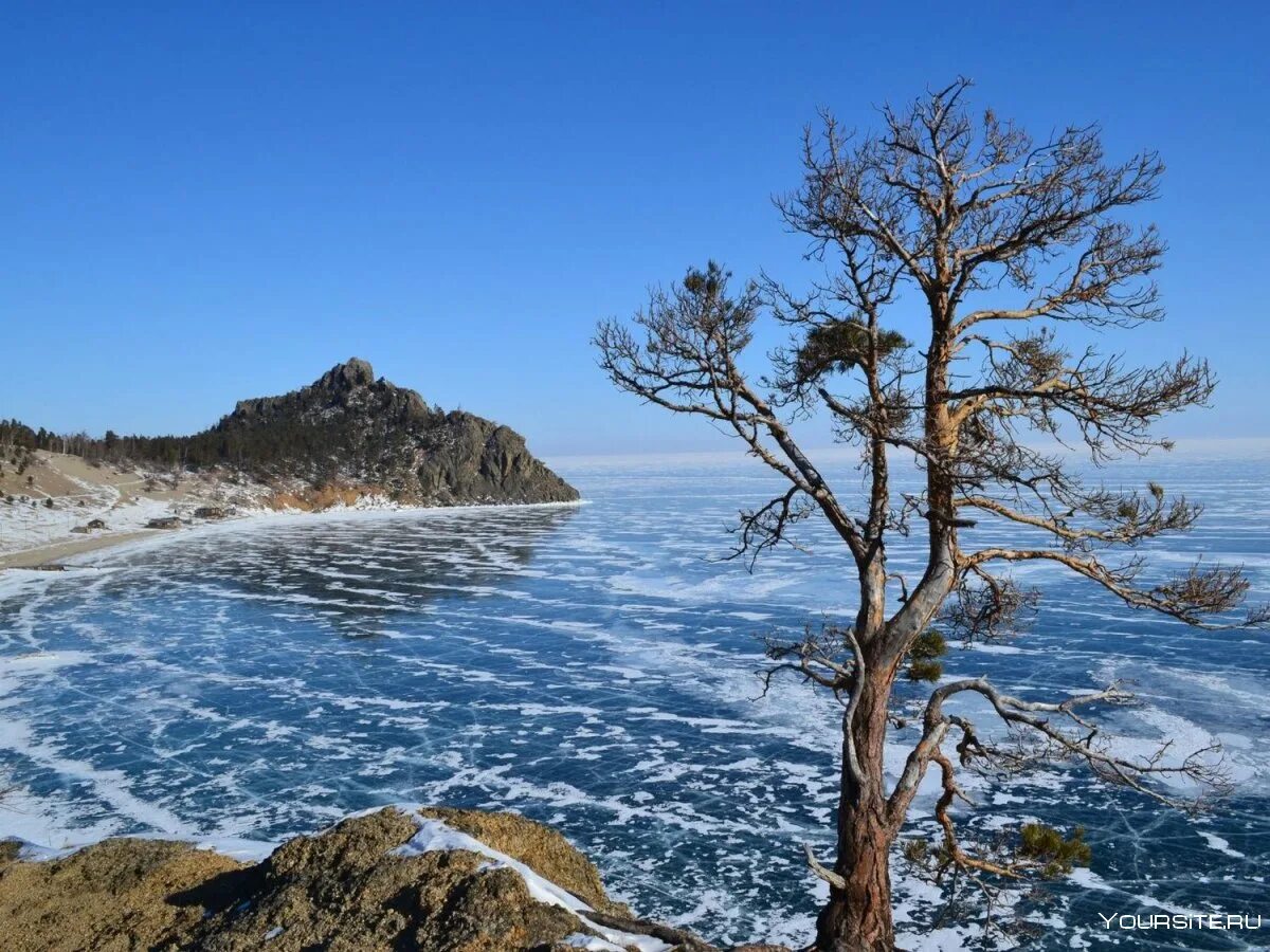 Неделя байкала