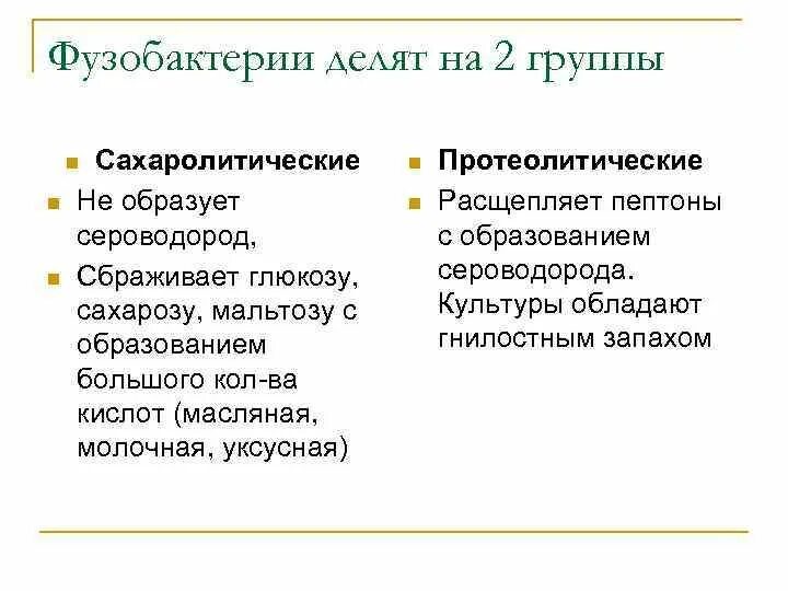 Расщепление сероводорода. Характеристику фузобактерий вид. Какие бактерии не расщепляют сахарозу и глюкозу. Свойства культуры.