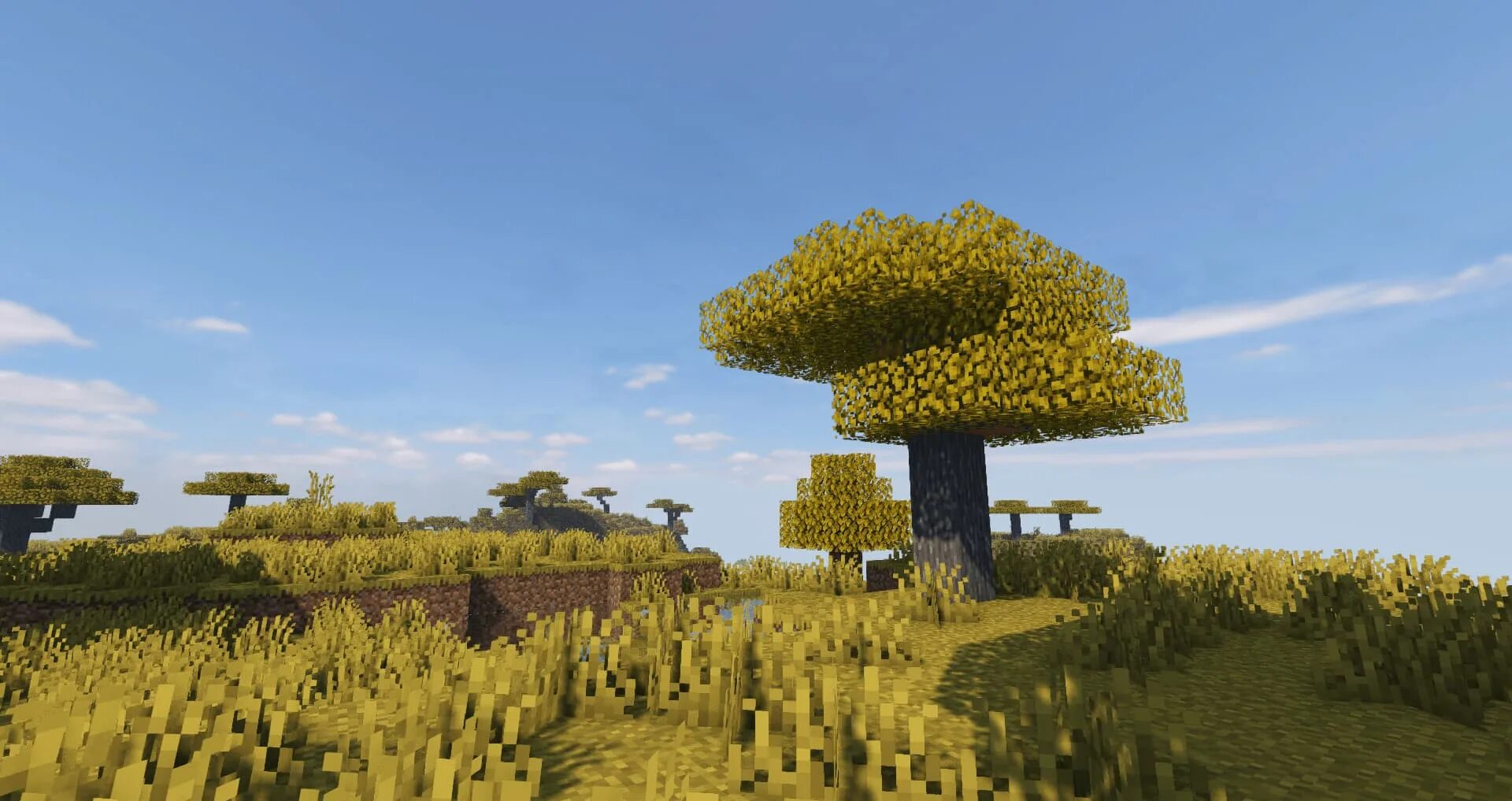 Project luma shaders