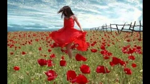 Volare cantare