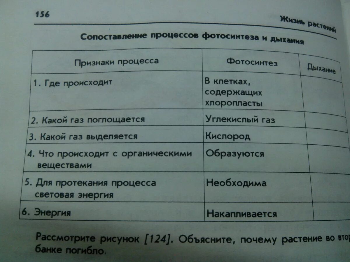 Таблица по биологии сравнение фотосинтеза и дыхания. Таблица сравнение процессов фотосинтеза и дыхания. Сопоставление процессов фотосинтеза и дыхания. Заполните таблицу сопоставление процессов. Таблица сопоставление процессов фотосинтеза и дыхания.