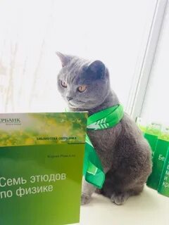 Сбердруг для сотрудников