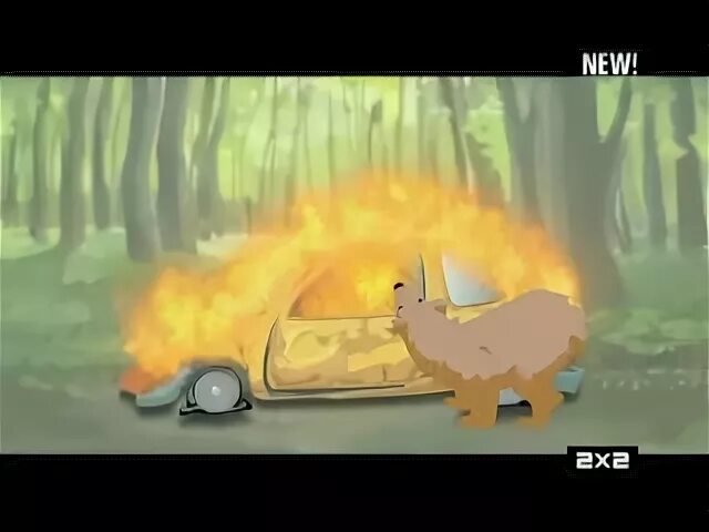 Медведь сгорел в машине. Медведь в горящей машине. Медведи и горящие машины. Медведь сидит в горящей машине. Медведь горит.