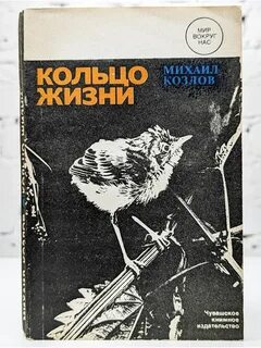 Соты книга