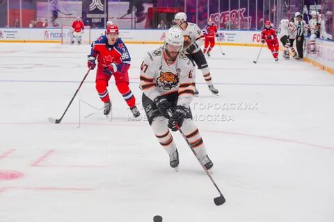 Расписание кубка мэра
