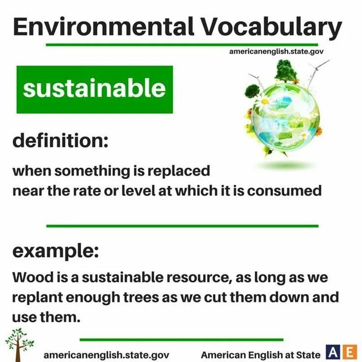 Environment Vocabulary. Environmental Vocabulary. Ecology and environment Vocabulary. Nature and environment Vocabulary. Ecology vocabulary