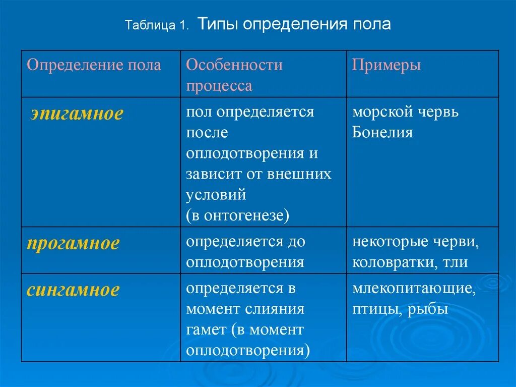 Когда происходит генетическое определение пола у человека. Типы определения пола. Определение пола типы определения. Типы определения пола примеры. Тип определения пола у человека.