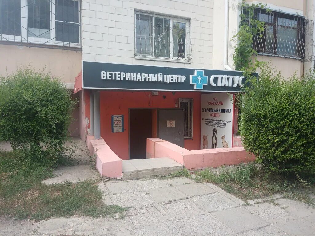 ветеринарная клиника воронеж. ветеринарная клиника воронеж левый берег. ветеринарная лечебница воронеж. лимпопо воронеж ветклиника. ветеринарная клиника лимпопо.