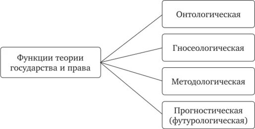 Функции тгп. Функции тгп схема.