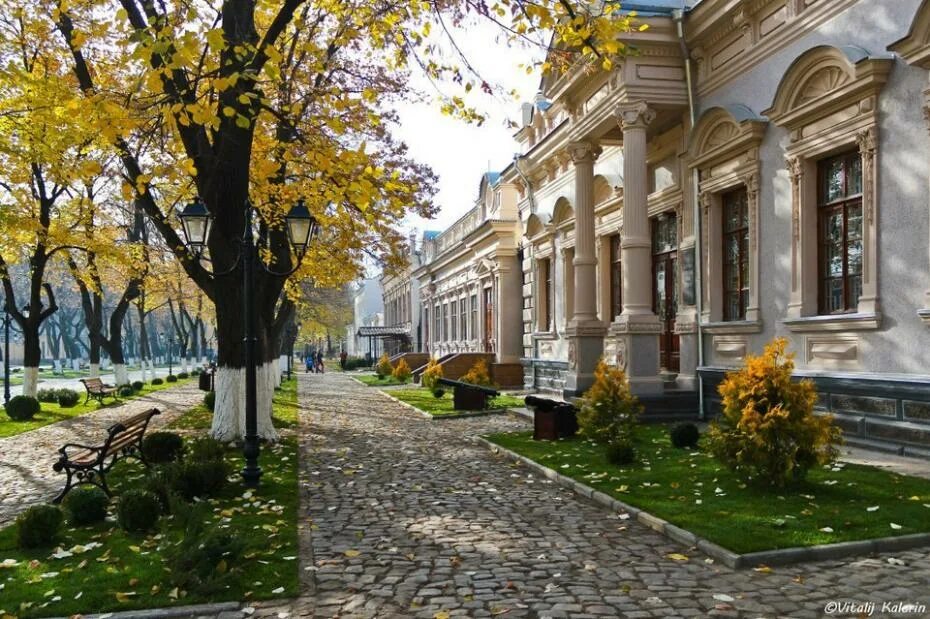 Бендера регион