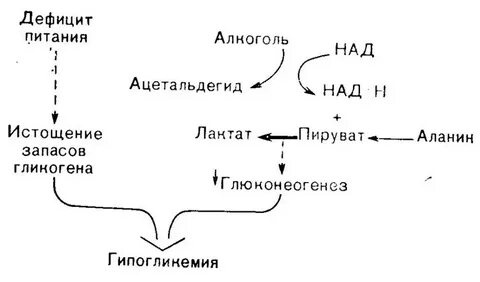 Сахарный путь