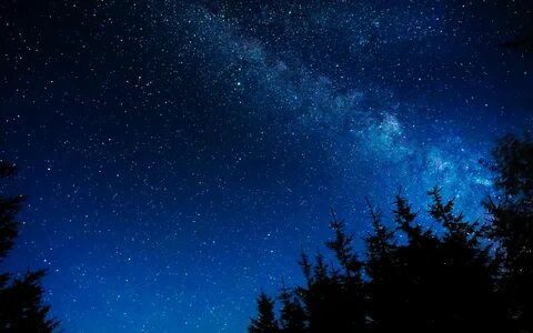 3840x2400 звездное небо, ночь, звезды, блеск, деревья обои 4k ultra hd 16:1...