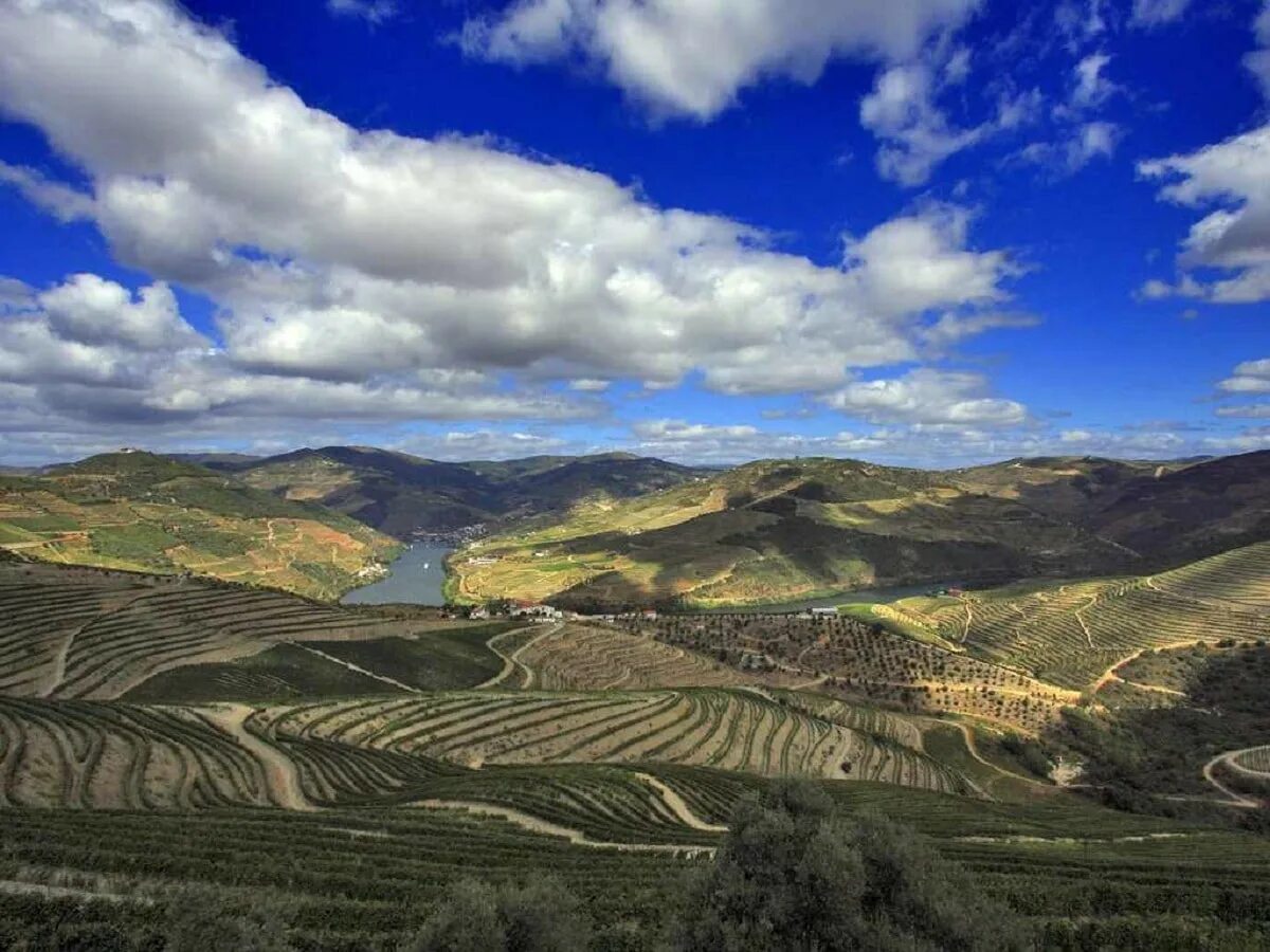 Центральное плато. Горы дракенсберг, южно африканская республика. Заповедник центрального плато. Центральное плато. Центральное плато.