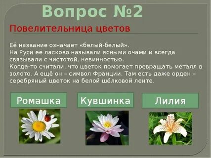Вопросы связанные с цветом