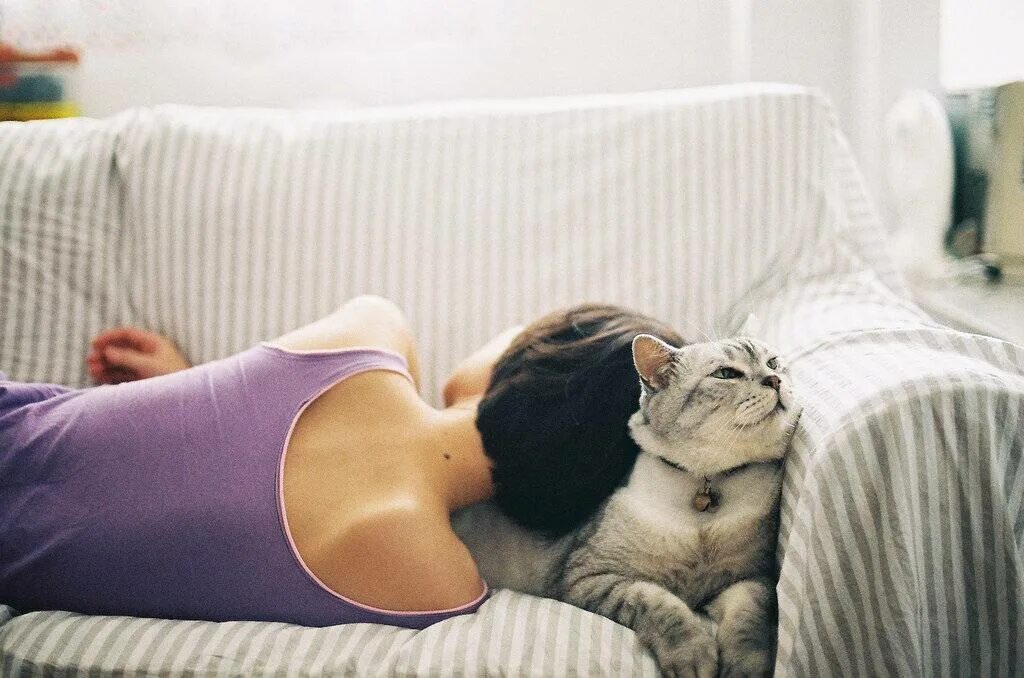 Кошка ложится на живот женщине