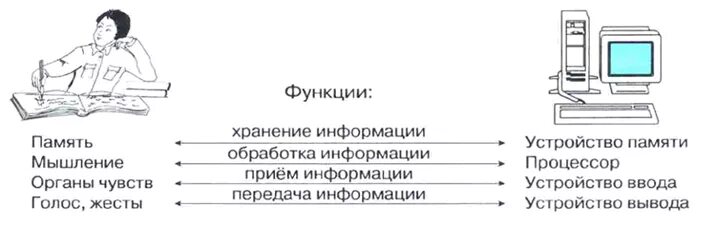Основные компоненты компьютера и их функции конспект. Аналогия между человеком и компьютером. аналогия между человеком и компьютером таблица. аналогия между человеком и компьютером рисунок. функции человек компьютер.