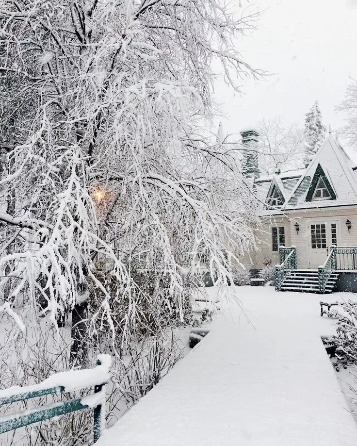 Is winter beautiful. Зима декабрь. Декабрь фото картинки. Я жду декабрь. Зимняя сказка фото реальность.