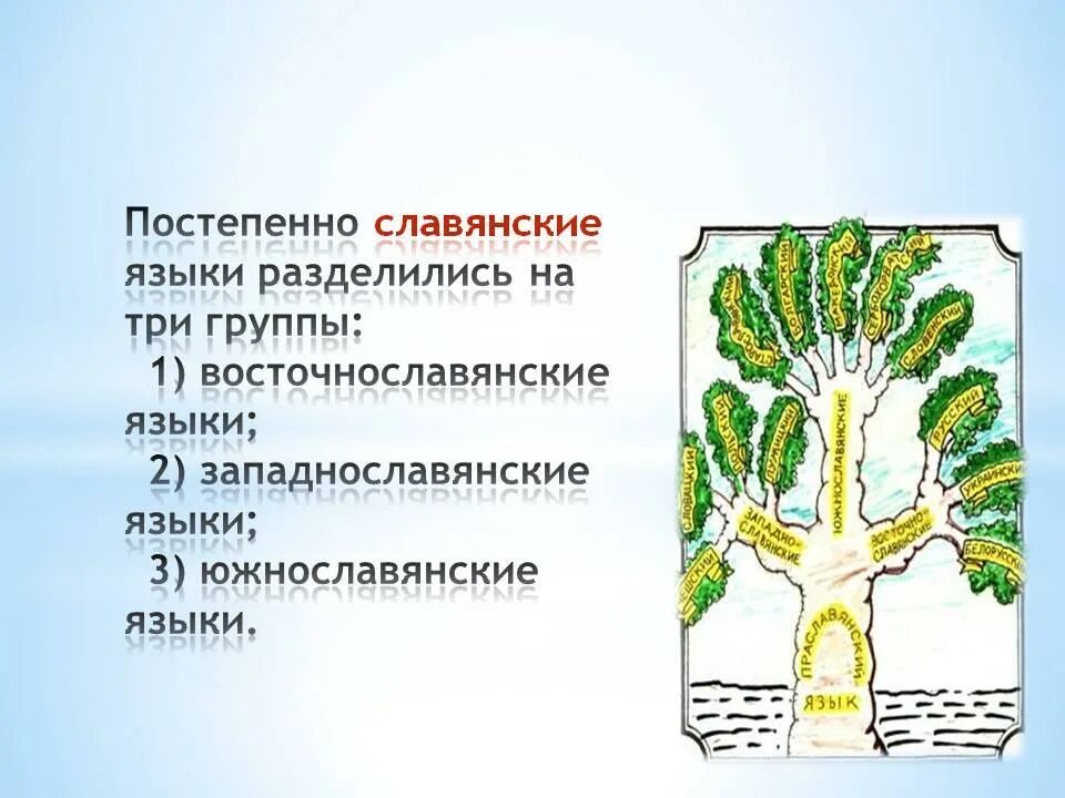 Древо славянских языков языков. Дерево славянских языков. Три группы славянских языков. Южнославянская группа языков.