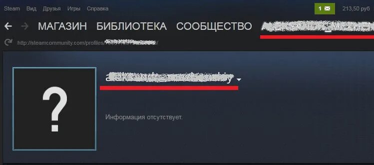 Как донатить в стим киви. Счет стим. Как пополнить счет в стиме. Пополнение баланса стим. Стим личный кабинет.