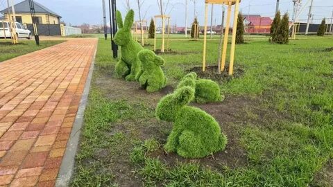 Выселбург выселки меню