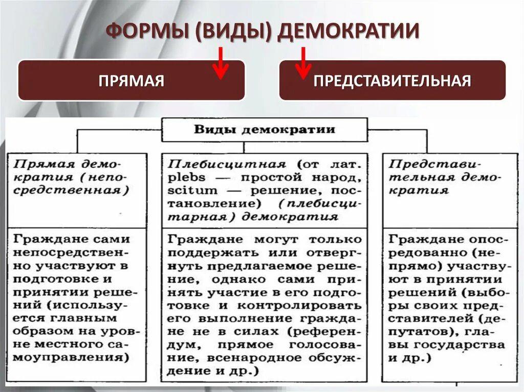 Какие виды демократии