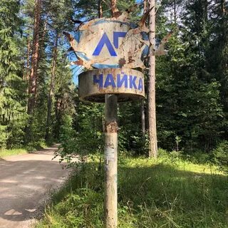 Лагерь чайка стерлитамак