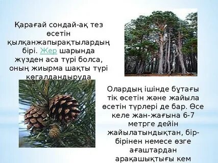 Жұмыстағы жезөкшенің порно фотосы