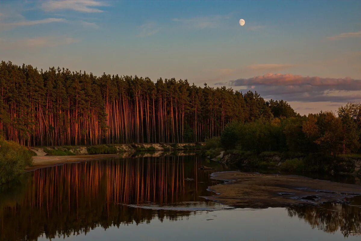 Река пра Рязанская область. Мещерский лес Рязанская область. Река Мещера. Прелесть мещерского края