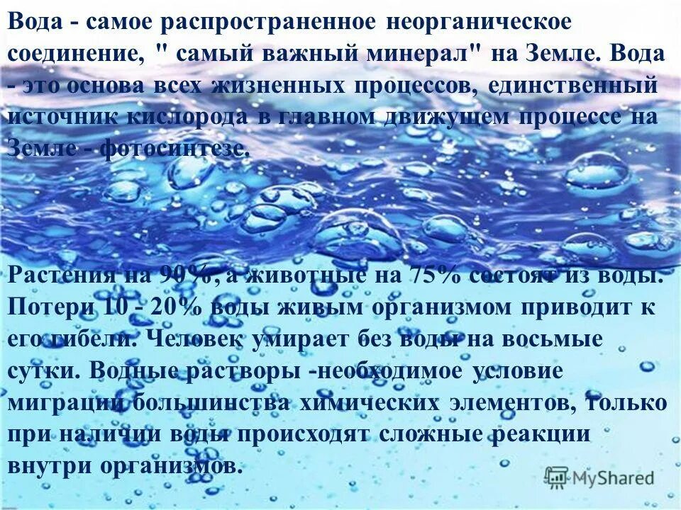 Вода стала быстро прибывать. Вода самое важное на земле. Вода друг человека. Вода друг вода враг. Вода враг человека.