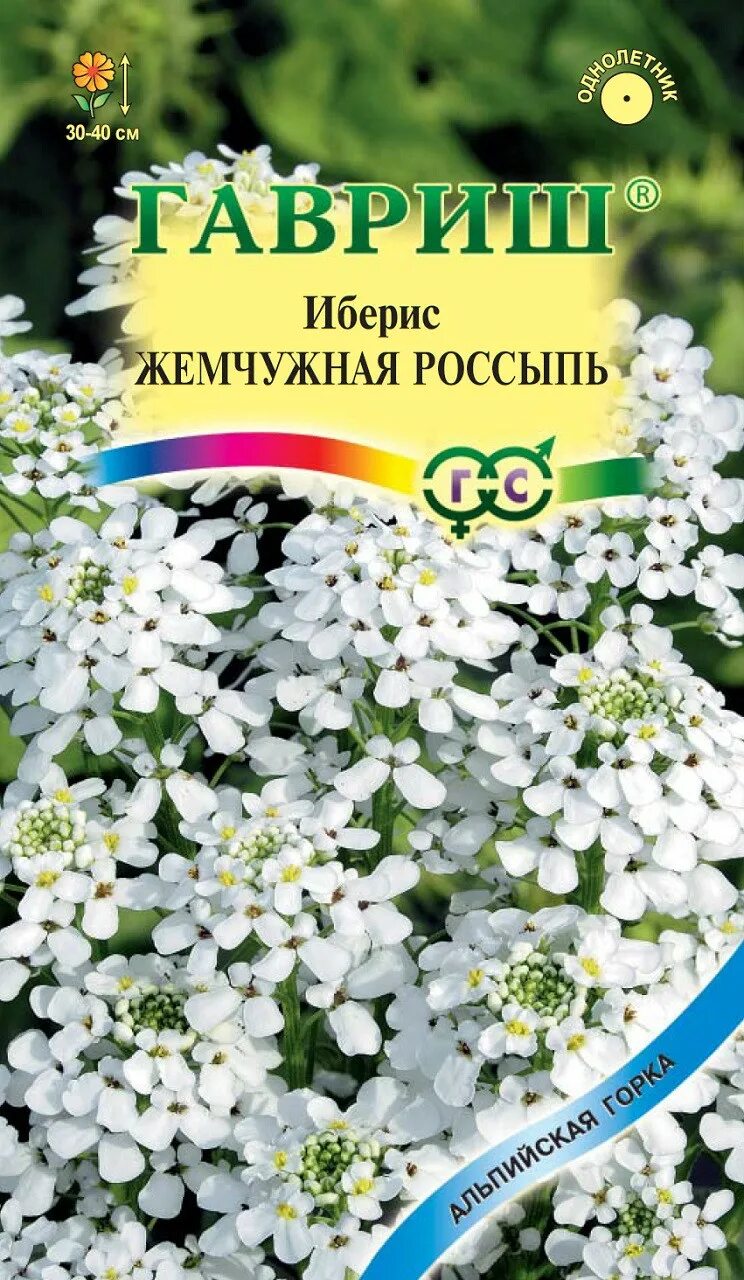 Иберис купить семена. Иберис Жемчужная россыпь. Иберис Жемчужная россыпь 0,2 г. Иберис жем чужная рлссыпь.. Ирис Жемчужная россыпь.