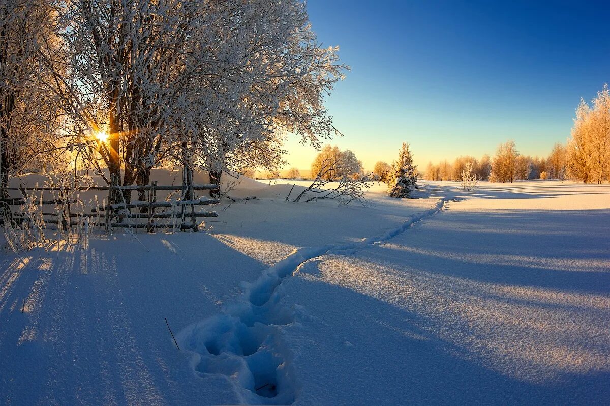 Зиму зима очень сильно. Зимний пейзаж. Зимний день. Солнечный зимний день. Морозный день.