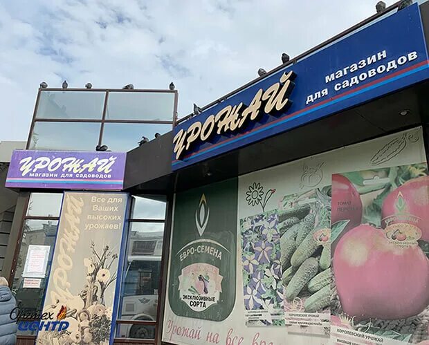 Садовод екатеринбург. Садовый магазин на родонитовой екатеринбург. Ленина, 28 фото. Магазин садовод огород новоалтайск. Логотип снт.