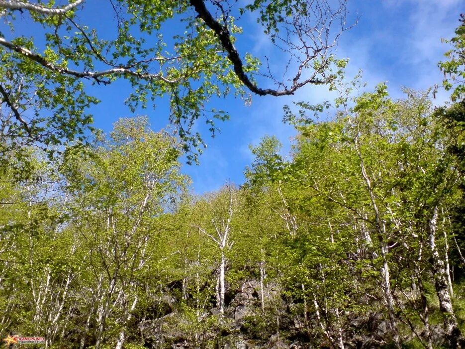 география природа население хозяйство 8. география 9 класс дронов география россии. балка ольховая. география ольховая 9. география ольховая 9.