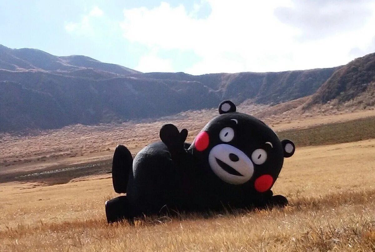 Кумамон. Японский медведь Кумамон. Kumamon во славу сатане. Адский Кумамон.