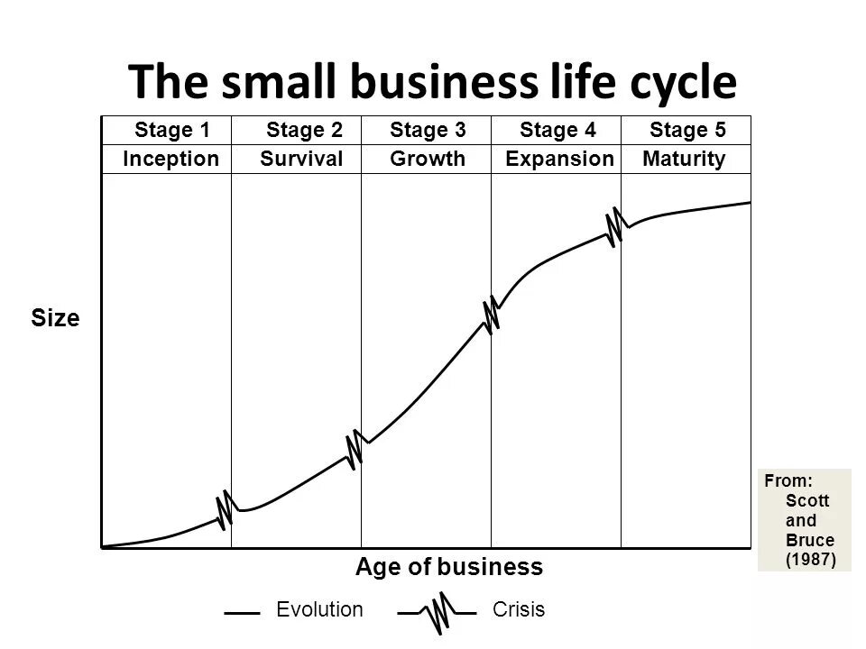 Business Life Cycle. Five Stages of a Business Lifecycle. 5 Stages of Business Lifecycle. Business Cycle Stages.